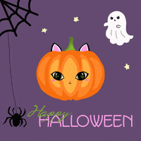 Trick Or Treat Cat GIF by Babybluecat