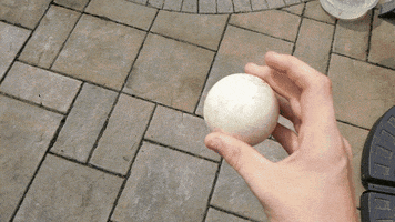 Sussy Baka Lmao GIF