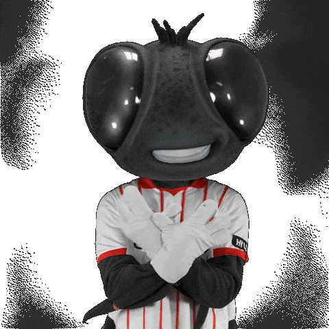 Futbol Club Sticker by Girona FC