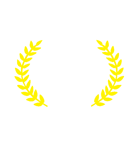 School Anglo Sticker by Colégio Suller Garcia