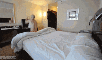 good night GIF