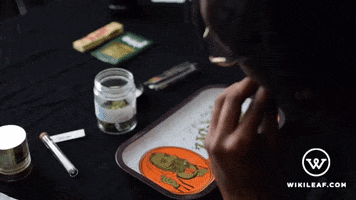 weed marijuana GIF by Wikileaf.com
