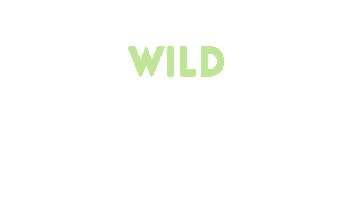 Hundredco Sticker