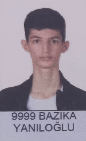 Sanatinalpcizgisi GIF