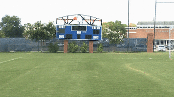greg evans cnms18 GIF by Carson-Newman Athletics