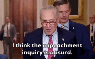 Chuck Schumer Impeachment GIF by GIPHY News