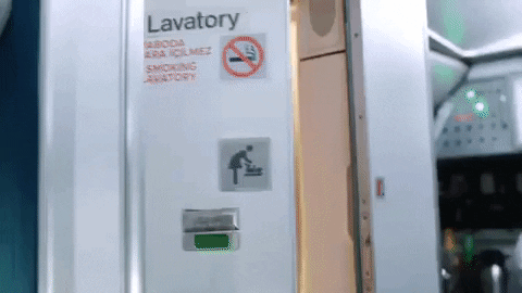 lavatories meaning, definitions, synonyms