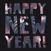 New Year Fireworks GIF by evite