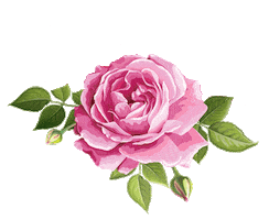 Valentines Day Heart Sticker by Jouer Cosmetics