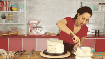 Happy Birthday Cooking GIF by TalkShopLive
