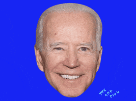 Voting Joe Biden GIF by Marcel Katz / The Art Plug