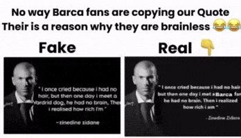 Zinedine Zidane GIF
