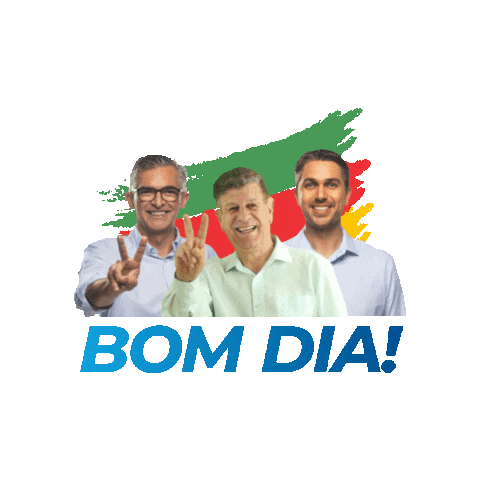 Viana Sticker by deputadoviana