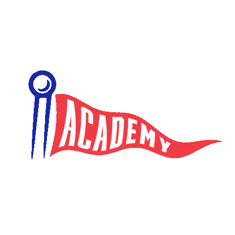 Flag Sticker by Academy Sports + Outdoors