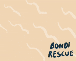 Saving Bondi Rescue GIF by Abitan