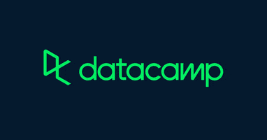 DataCamp datacamp GIF