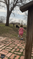 Toddler Cuddles With Large Dog on Warm Spring Day