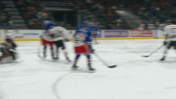 Guelph Storm Goal GIF by Kitchener Rangers Hockey Club