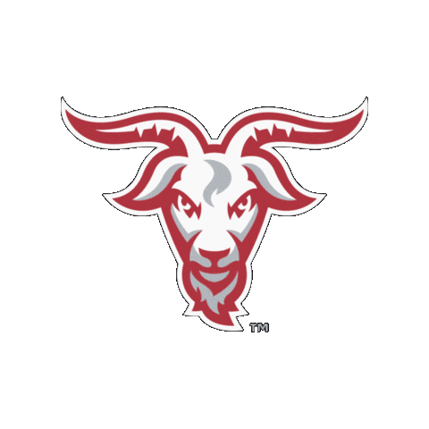 WPI Field Hockey Sticker