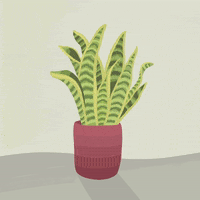 Plant Babies GIFs - Get the best GIF on GIPHY