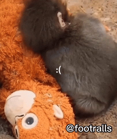 Punch GIF