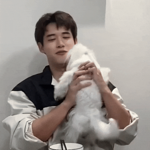 Zayin537 GIF