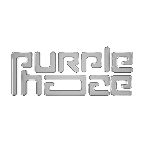 Dance House Sticker by Sander Van Doorn