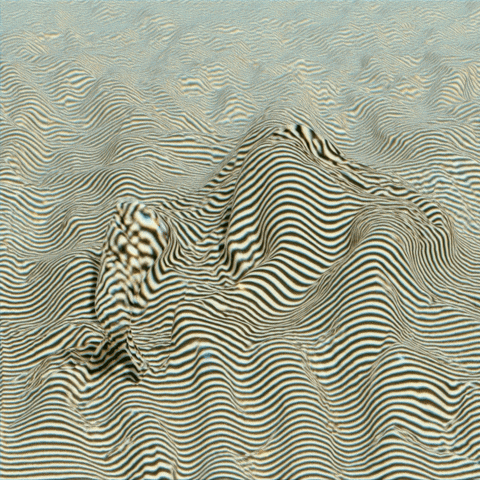 GIF by ellaknor