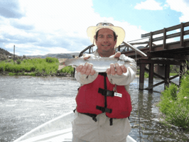 Charles Reed Cagle GIF