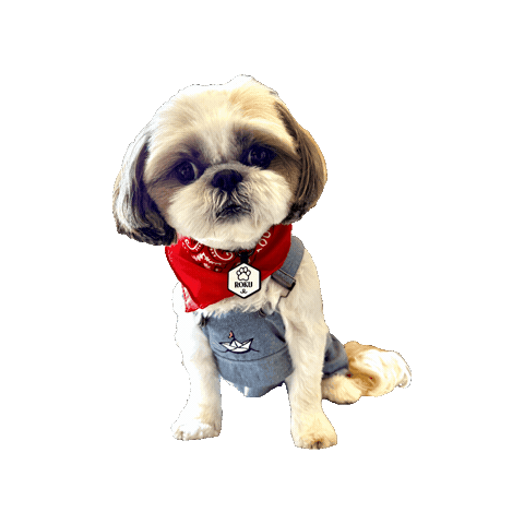 Dog Sticker