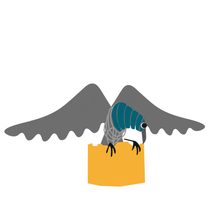 Vantaa Korppi Sticker by Vantaan kaupunki