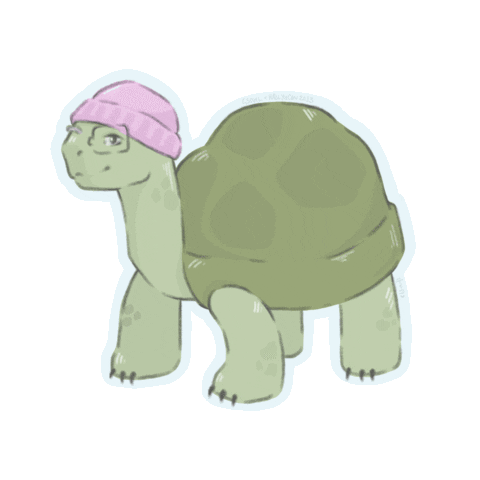 Turtle Tortoise Sticker
