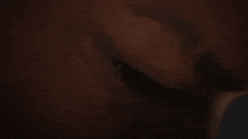 Loop Eye GIF by Xbox