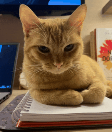 GIF by TOTVS