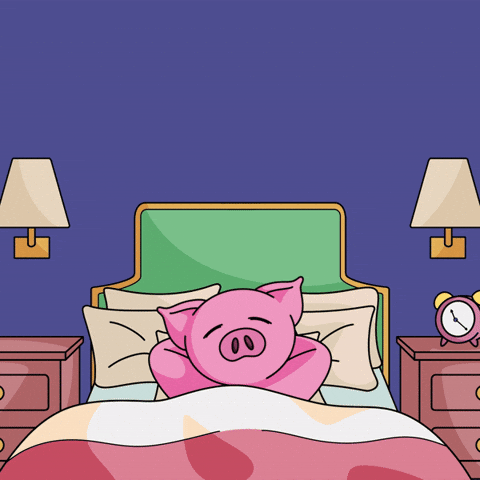 Gute Nacht Guten Morgen GIF by Piggyverse