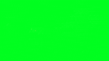 Egg GIF