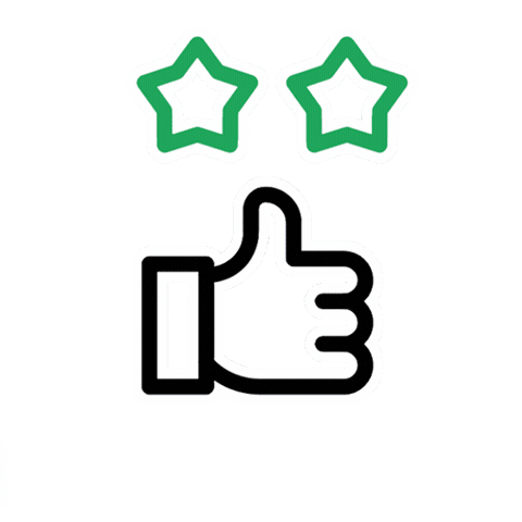 pinhal madeiras Sticker