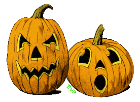 Halloween Pumpkins Sticker by travelchannel