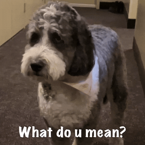 What Do You Mean Question Mark GIF