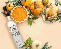 Autumn Thanksgiving GIF by Broken Shed Vodka