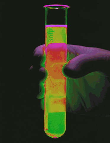Neon Experiment GIF
