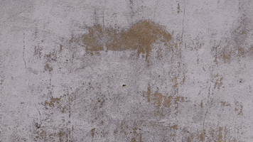 FEUERBOCK GIF