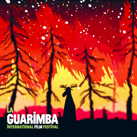 Scared On Fire GIF by La Guarimba Film Festival