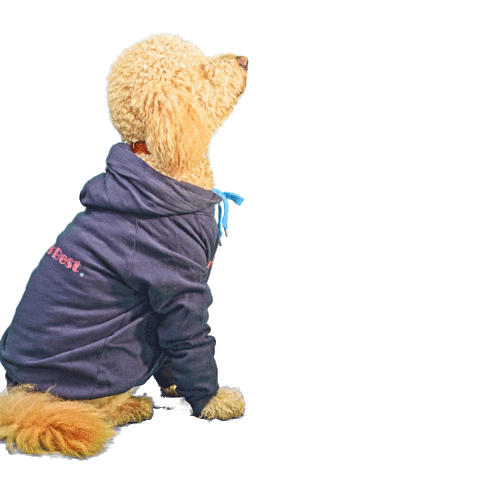 Pets Best Sticker