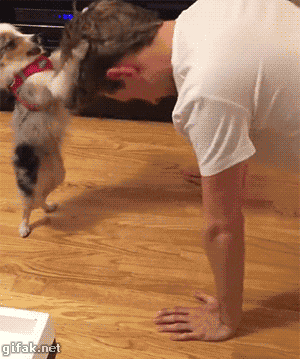 Laugh You Lose Wait Did This Really Happen Funny Gifs Page 9 Of 13 Lol Why Laugh You Lose Wait Did This Really Happen Funny Gifs Page 9 Of 13 Lol Why