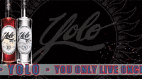 Yolo Happy New Year