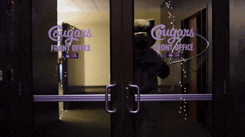 minor league baseball ozzie t cougar GIF by Kane County Cougars