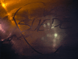 Dancing With The Europeans GIF by Suede