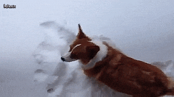200.gif