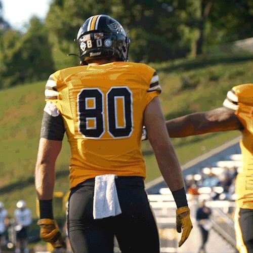 Happy Football GIF by Towson University